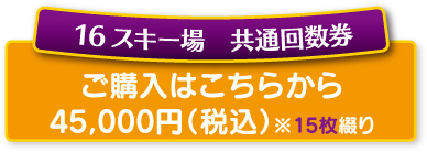 スキー場　共通回数券
